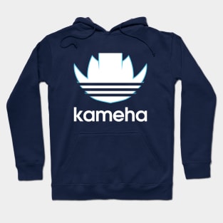 kame sports-anime parody Hoodie